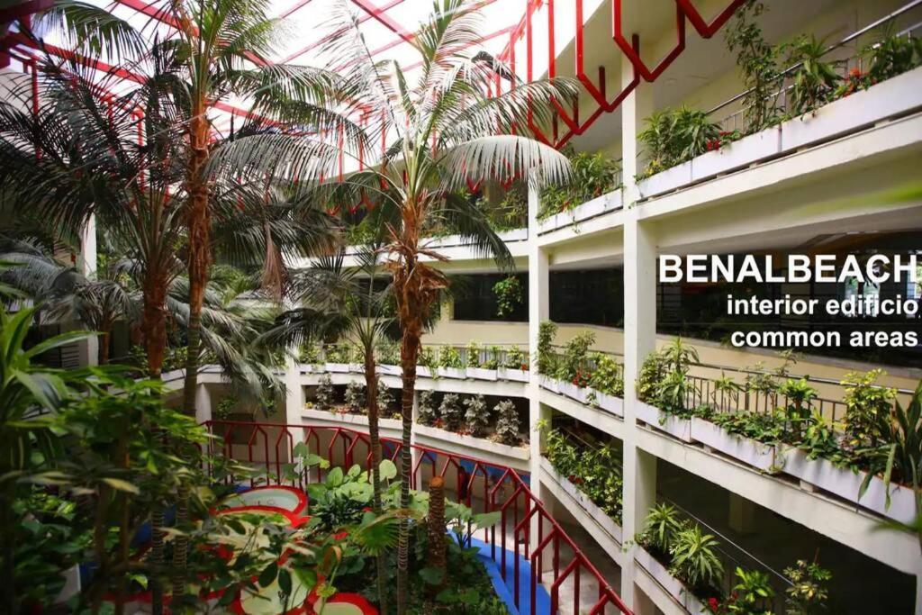 Estudio En Benalbeach, Vistas Mar, Primera Linea Playa ベナルマデナ エクステリア 写真